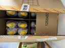 威猛先生（Mr Muscle）洁厕灵 750g*16瓶 柠檬草香 洁厕剂洁厕液厕所马桶除垢去渍去异味 实拍图