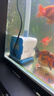 森森（SUNSUN）鱼缸水泵小型潜水泵过滤泵抽水泵YQP-1500 23W 实拍图