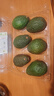 京鲜生进口牛油果 微催熟6粒 单果160g起 新鲜水果 源头直发包邮 实拍图