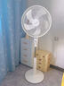 先锋（SINGFUN）电风扇落地扇家用风扇专利双风叶大风力电扇客厅宿舍可定时26A 实拍图