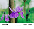 松下S9（20-60mm F3.5-5.6）（Panasonic）全画幅微单 实时Lut 滤镜直出 连接app极速分享 灰银 实拍图