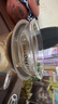 金灶（KAMJOVE） 玻璃茶漏茶斗 茶滤网过滤器耐高温玻璃滤茶器功夫茶具配件GO-08 套组 实拍图