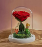 RoseBox生日礼物永生花小王子玫瑰花结婚纪念毕业礼品送女生朋友高级实用 实拍图