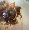 京东京造x非遗剪纸 牛肉干礼盒 全牛肉零食牛肉干牛肉粒麻辣牛肉1028g 实拍图