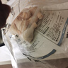 上鲜鸡琵琶腿 净重6斤 鸡大腿烧烤食材炸鸡腿卤鸡腿鸡肉生鲜清真 实拍图