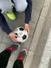 361°足球儿童4号机缝足球中小学教学训练室内外比赛足球 经典款 实拍图