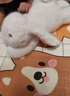 名创优品（MINISO）塔尼兔系列趴姿公仔毛绒玩具玩偶兔子娃娃抱枕生日礼物儿童节礼物 实拍图