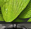 小米（MI）小米Redmi 23.8英寸显示器 100Hz IPS技术 三微边设计 低蓝光 电脑办公显示器显示屏 A24节能版 实拍图