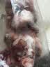 京觅 黑猪棒骨 净重4斤 多肉猪筒子骨 猪腿骨猪骨高汤原料 源头直发 实拍图