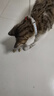 虎头铃铛虎口纯铜响铃铛宠物猫狗项圈挂件吊坠手工装饰品配件材料 虎头铜铃铛【2cm】3个+1根红绳 实拍图
