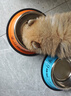 萌嘟星宠防打翻狗碗狗食盆不锈钢双碗猫碗狗粮喂食喝饮水器中小型犬 2套装 实拍图