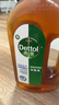 滴露（Dettol）消毒液洗衣衣物消毒水750mL 除螨杀菌混洗无忧 家居地板消毒 非84 实拍图