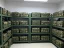 迪普顿货架多层置物架仓储仓库军绿色物资器材架子超强承重120*60*200cm 实拍图