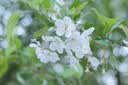MEKE【L口】美科851.8se二代 L镜头85mm f1.8 SE二代自动对焦全画幅大光圈人像适用L口微单相机定焦 AF 85mm f1.8 SE 二代  （松下L口） 官方标配+（送高透UV+清 实拍图
