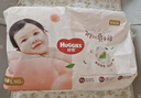 好奇（Huggies）铂金装小桃裤成长裤L120片(9-14kg)大号尿不湿拉拉裤【透爽散热】 实拍图