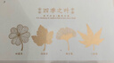 天色四季之叶黄铜叶脉书签礼盒 金属中国风文创纪念品教师节男女伴手礼生日新年会礼物送老师TS-5881 实拍图