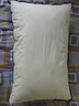 水星家纺枕头枕芯酒店枕头护颈枕头芯家用单个纯棉抗菌可水洗中枕48x74cm 实拍图