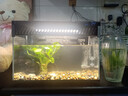 米家智能生态鱼缸定时喂食智能鱼缸+画法几何增氧泵套装 实拍图