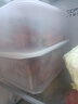 禧天龙冰箱保鲜盒食品级冰箱收纳盒塑料密封盒蔬菜水果冷冻盒 2.7L 3个 实拍图