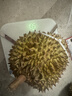 京鲜生 泰国进口金枕鲜榴莲 2-4个装 净重14斤以上 生鲜 新鲜水果 实拍图