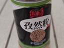 乐畅纯孜然粉28g 新疆孜然 0添加无硫熏 烧烤料撒料调料调味料 实拍图