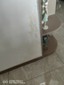 三棵树漆墙面修补膏防霉抗菌白色墙面去污修复腻子粉膏墙皮脱落防水补墙膏 实拍图
