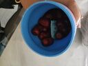 好想你 树上粮仓三级免洗红枣500g/袋  蜜饯果干新疆特产大枣煮粥煲汤 实拍图