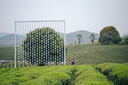 腾龙（Tamron）A078S 35-100mm F/2.8 Di III VXD大光圈变焦镜头20周年纪念版 索尼全画幅微单镜头(索尼全幅E口) 实拍图