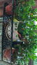 长万家花架置物架阳台铁艺悬挂栏杆花架多肉收纳花盆摆放绿萝装饰架 圆角60*25*12cm 实拍图