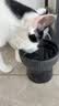 乐优派猫碗陶瓷高脚护颈黑色水碗宠物喂食器狗碗大容量防打翻猫食盆狗盆 实拍图