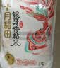 十月稻田 当季新米 油粘米 银牙香粘米（南方大米 籼米 10斤） 实拍图