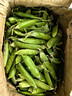 新鲜豌豆四川带壳青豆角水果甜豆荚农家蔬菜 新鲜青豌豆荚净重3斤 实拍图