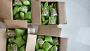 三只松鼠绿豆饼500g 传统中式糕点绿豆糕特产点心解馋办公室下午茶小吃 实拍图