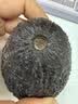 山姆大叔 金奖·哈斯牛油果【闪送】智利鳄梨非即食新鲜牛油果水果礼盒装 【金奖级】特级果丨约130-150g 4枚【尝鲜-量较少】普装 实拍图