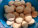 阿尔卑斯 混合口味棒棒糖200g(20支)  休闲零食 儿童水果果汁硬糖礼物分享 实拍图