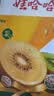 佳沛（zespri）新西兰阳光金奇异果 8个装 特大果单果重约124-146g 水果猕猴桃 实拍图