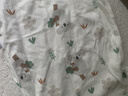 婧麒（JOYNCLEON）婴儿衣服夏季包屁衣纯棉新生儿男女宝宝连体衣薄款三角哈衣爬服 懒懒考拉 90cm 【1-2岁体重9.5-13kg】 实拍图