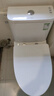 九牧（JOMOO）11173-2-1/31KD-3大力神家用马桶虹吸抗菌节水洁具305坑距 实拍图