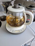 小熊（Bear）煮茶壶喷淋式煮茶器 小型一人蒸茶壶养生壶 迷你养生烧水壶 1升 ZCQ-H10D1 实拍图