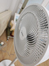 美的（Midea） 电风扇 家用风扇7叶落地扇立式轻音节能大风量电扇台扇迷你扇台立两用转页扇空气循环扇安静低音 店长推荐丨7叶劲风 百万单·SAF30AC 家用落地扇 实拍图