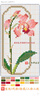 [乐家老铺] 辛芩颗粒20g*10袋/盒 实拍图