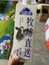 每日鲜语蒙牛现代牧场鲜牛奶屋顶包960ml巴氏杀菌低温奶 实拍图