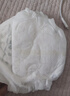 babycare金山茶花拉拉裤XL34片(12-17kg)婴儿尿不湿超薄透气新生柔花苞裤 实拍图