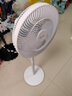 格力（GREE）【花精灵Se】一级能效直流变频轻音节能遥控电风扇卧室落地扇静音家用风扇 实拍图