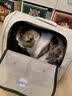飞主流猫包外出便携超大号双肩背包猫咪狗狗宠物包手提车载笼可折叠猫袋 实拍图
