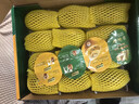 佳沛（zespri）新西兰 阳光金奇异果12粒特大果单果124-146g 猕猴桃水果礼盒 实拍图