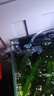 森森 鱼缸过滤桶缸外过滤器外置净水循环过滤系统HW-603B 6W 实拍图