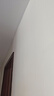 嘉宝莉内墙乳胶漆无添加净味三合一墙面漆 家用水性环保油漆涂料20kg 实拍图