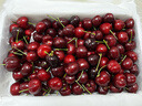 四叔公果蔬车厘子美早樱桃【JD-多地次日达】大连4J级大樱桃端午节水果礼盒 3斤(净重) 【超值推荐-80%选】爽吃礼盒* 【奢享级｜爽吃爆汁】3J 巨无霸 30-32mm 实拍图