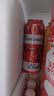 百威啤酒mini红罐淡色拉格255ml*24听小罐整箱装京东自营喜酒踏春送礼 实拍图